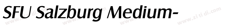 SFU Salzburg Medium字体转换
